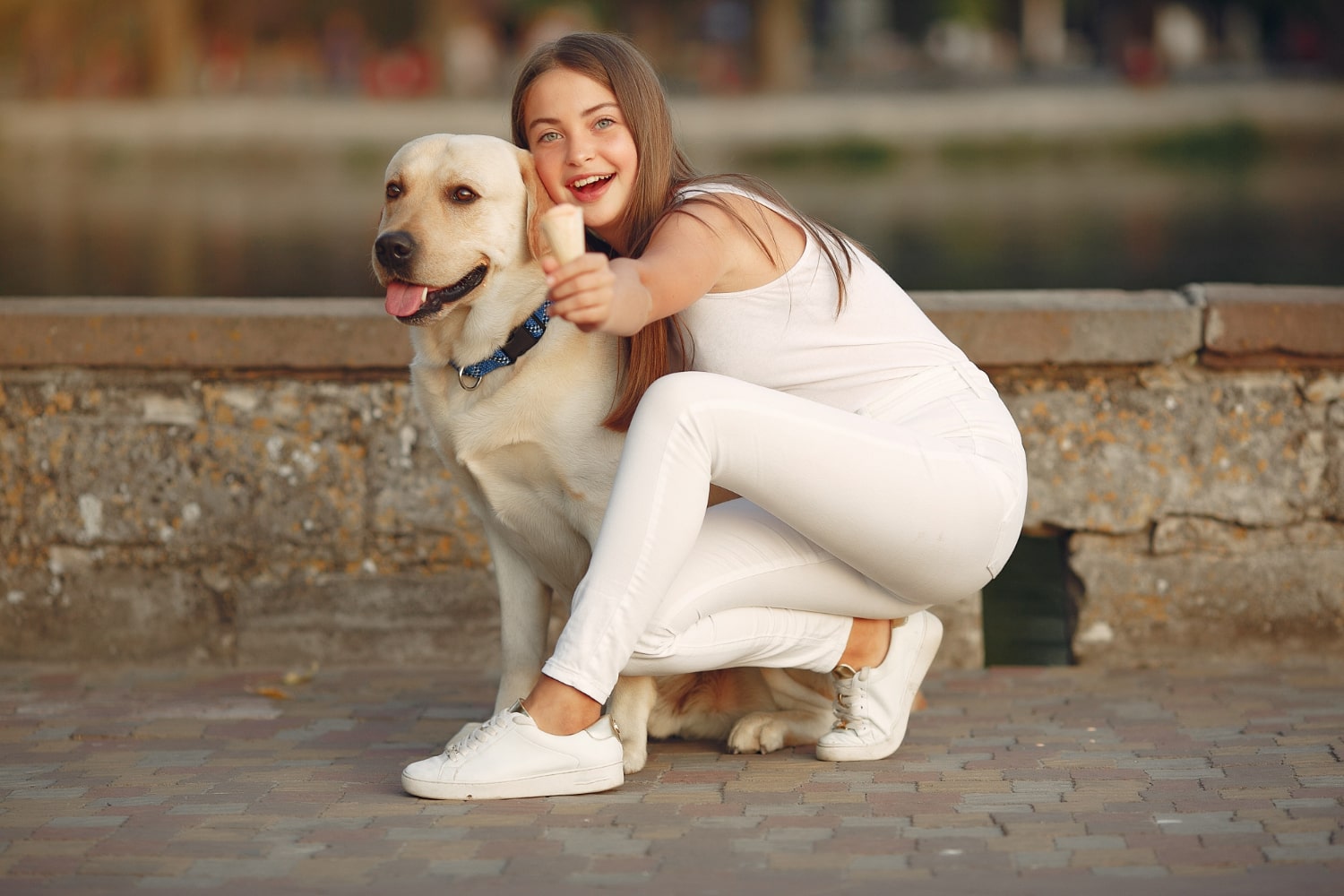 Les 7 erreurs à éviter quand on fait du sport avec son chien